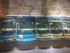 水产区-蟹谢蒸鲜自助餐厅