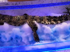 -澜悦港海鲜体验主题餐厅
