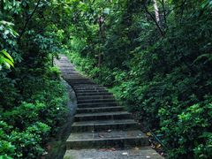 -野狸岛