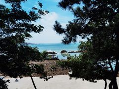 -八大关景区