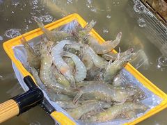 -神农美特好生鲜超市(康宁街店)