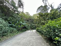 -广州市帽峰山景区