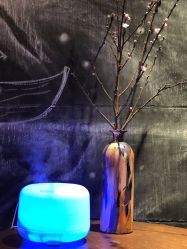 -无界瑜伽普拉提