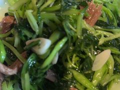-情满四合院•京菜•烤鸭(动物园店)