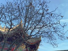 -西安市广仁寺