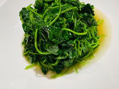 高山豆苗-南麓·浙里(外滩店)