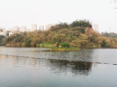 -重庆彩云湖湿地公园