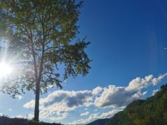 -黑河国家森林公园