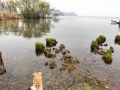 -捞渔河湿地公园