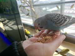 -昆明大悦城未来动物城(螺蛳湾中心店)