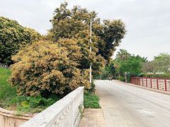 -水濂山水库景点停车场