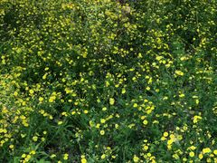 -宝瑞门钉肉饼店