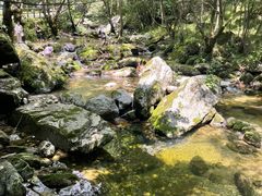 -牛背梁国家森林公园