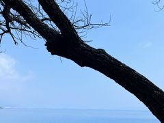 -抚仙湖禄充风景区
