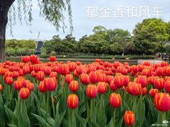 -上海鲜花港