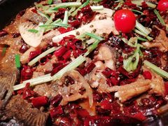 -老板恋上鱼(印象城店)