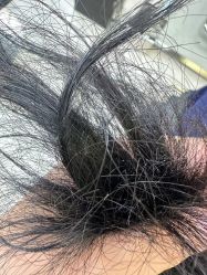 -MY HAIR ARDOR