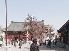 -天津大悲禅院