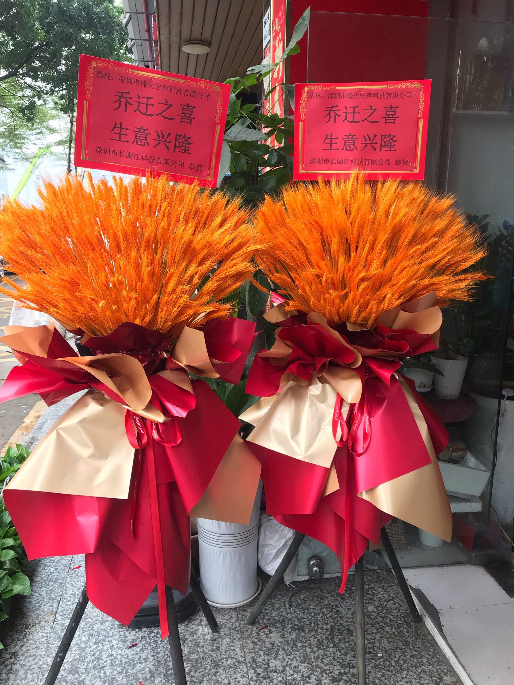 大麦花篮,开业大卖,可送货