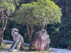 -姑婆山旅游区