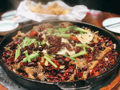 -老板恋上鱼(振华商厦店)