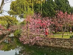 -无锡蠡湖国家湿地公园-蠡园