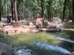 -北京野生动物园