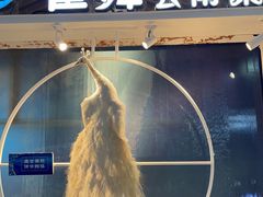 -雀舞云南菜(乐客城店)
