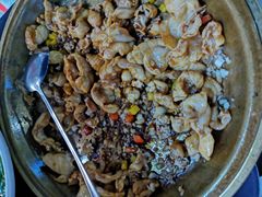 -港升鱼师傅·中山脆肉鲩