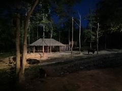 -清迈夜间动物园