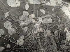 -辽宁古生物博物馆