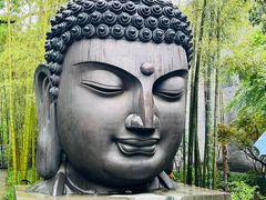 -杭州植物园