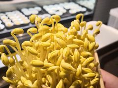 井水黄豆芽-巴渝瓦肆重庆鲜火锅(宝龙环湖店)