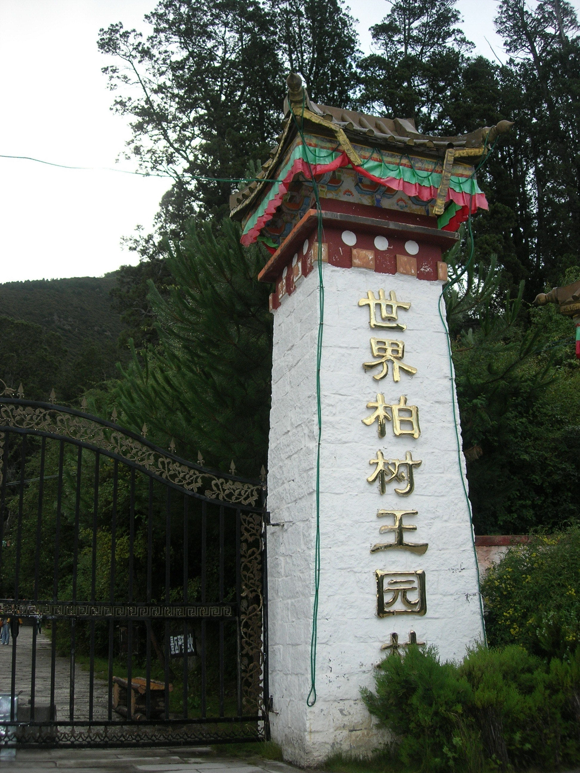 天天领红包 世界柏树王园林位于西藏林芝地区八一镇东南方向约8公里