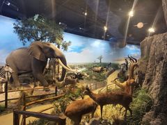 -陕西自然博物馆