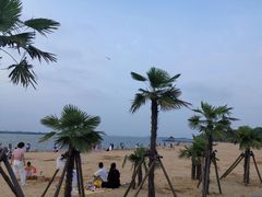 -瑶湖郊野森林公园