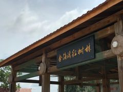 -北海金海湾红树林生态旅游区