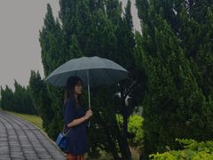 -南沙蒲洲花园