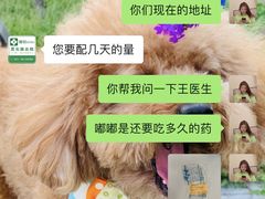 -爱侣宠医·鹦鹉专科·小型哺乳类·异宠专科(灵石路店)