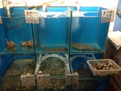 -松云居