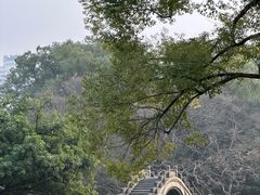 -江心屿景区