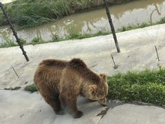 -上海野生动物园