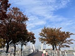 -映月湖中央公园