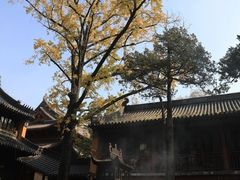 -灵谷景区