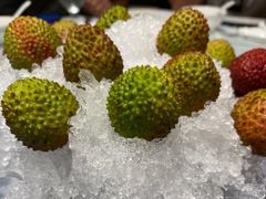 -四季民福烤鸭店(前门店)