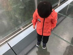 -梦幻奥陶纪景区