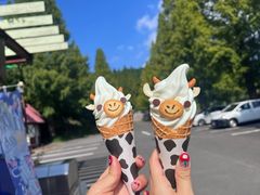 -神户市立六甲山牧场