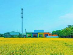 -嘉北郊野公园
