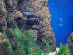 -福州罗源湾海洋世界旅游区