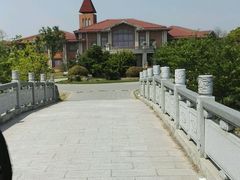 -上海海湾国家森林公园